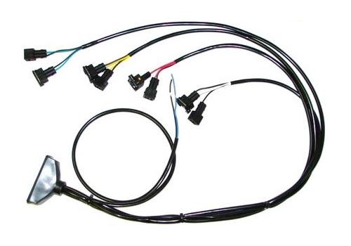 Chicotes Elétricos 